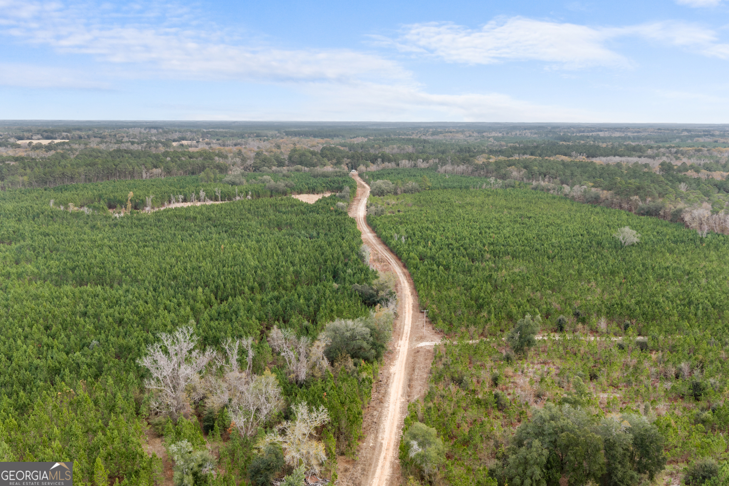 0 Jacob Wilkinson Circle Claxton, GA 30417 - Photo 3 of 13 a view of a city with lush green forest