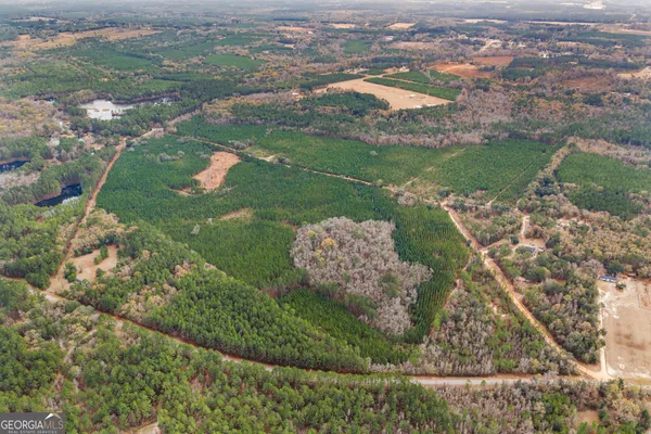 $899,000 | 0 Jacob Wilkinson Circle, Claxton, GA 30417