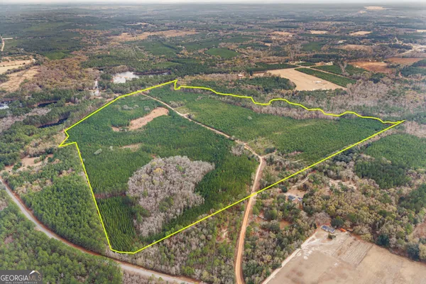 $899,000 | 0 Jacob Wilkinson Circle, Claxton, GA 30417