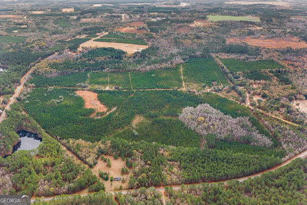 $899,000 | 0 Jacob Wilkinson Circle, Claxton, GA 30417