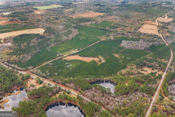 $899,000 | 0 Jacob Wilkinson Circle, Claxton, GA 30417