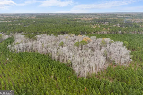 $899,000 | 0 Jacob Wilkinson Circle, Claxton, GA 30417