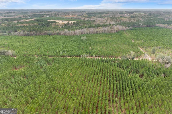 $899,000 | 0 Jacob Wilkinson Circle, Claxton, GA 30417