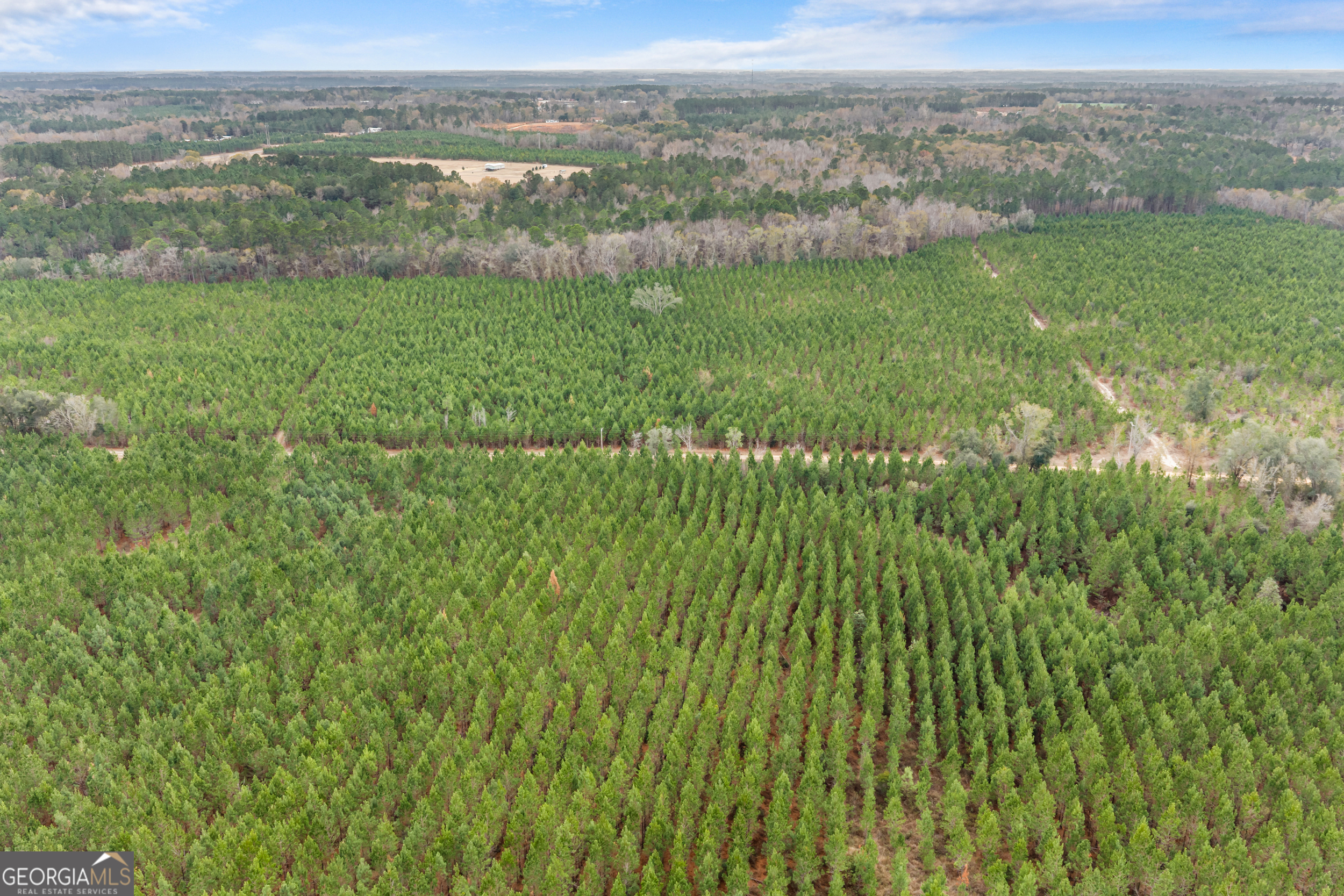 0 Jacob Wilkinson Circle Claxton, GA 30417 - Photo 9 of 13 a view of a lush green outdoor space with a lake view