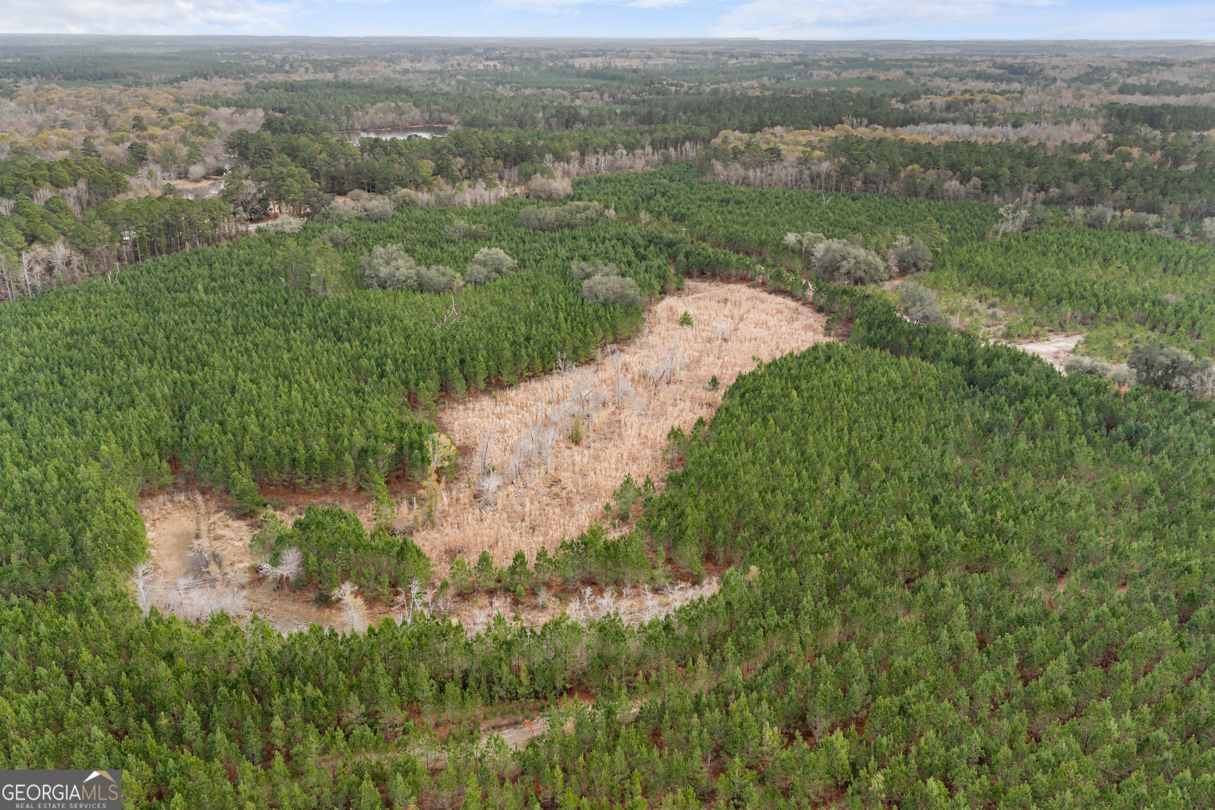 0 Jacob Wilkinson Circle Claxton, GA 30417 - Photo 10 of 13 an aerial view of mountain with residential space and mountain view in back