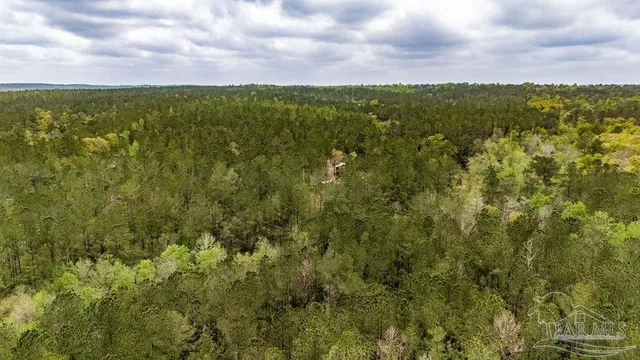a view of a city with lush green forest