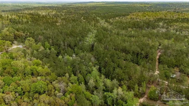an aerial view of residential house with outdoor space and trees all around