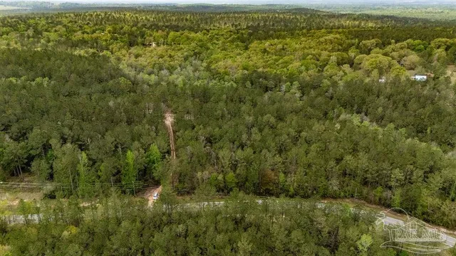 an aerial view of residential house with space and trees all around