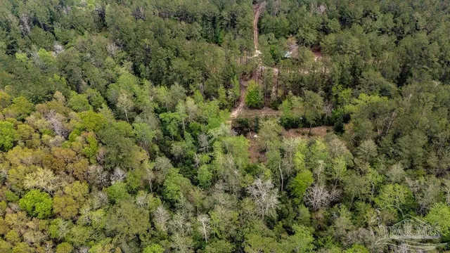 a view of outdoor space with trees all around