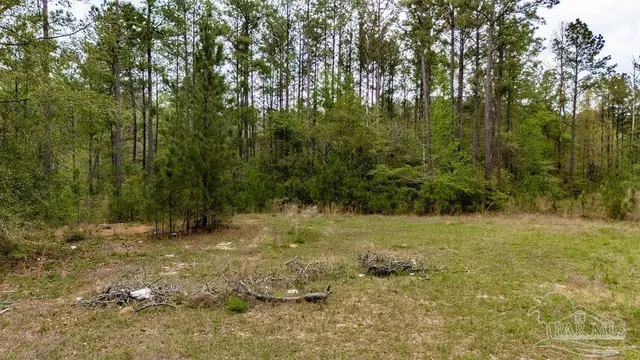 a view of a yard with an outdoor space