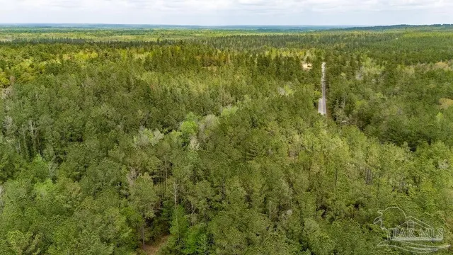 a view of a forest with a houses