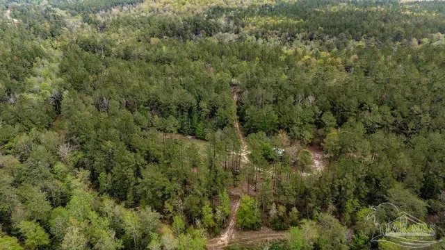 a view of a lake with lots of trees