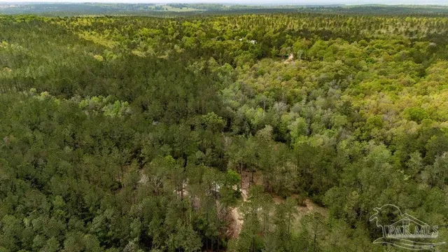 a view of outdoor space with trees