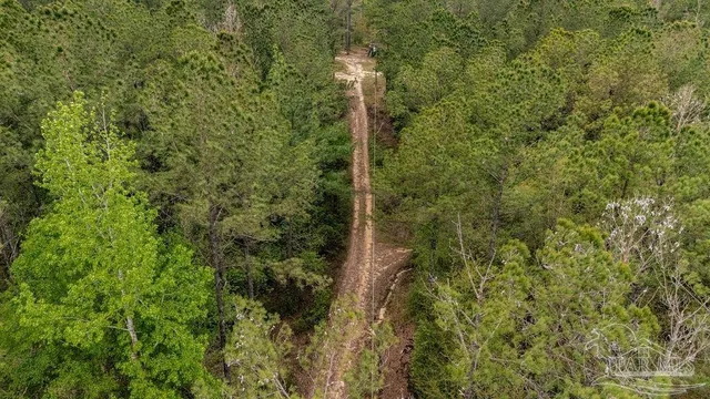a view of outdoor space with trees