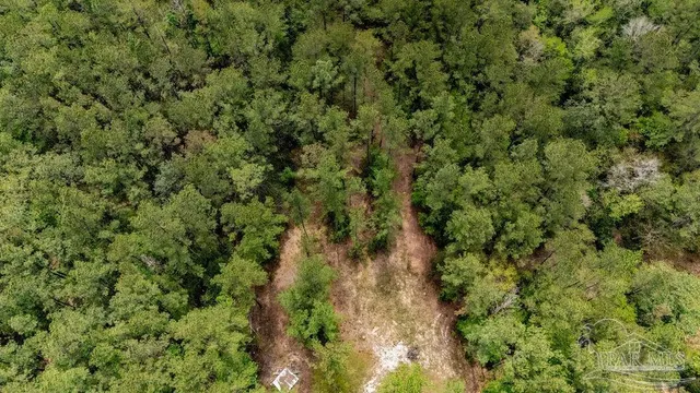 a view of a yard with an outdoor space
