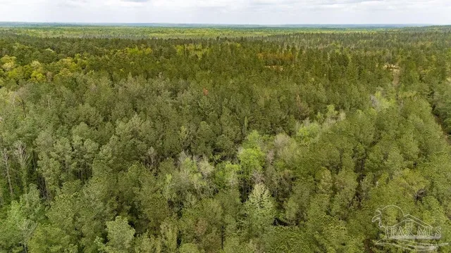 $285,000 | 4660 Morristown Road, Jay, FL 32565