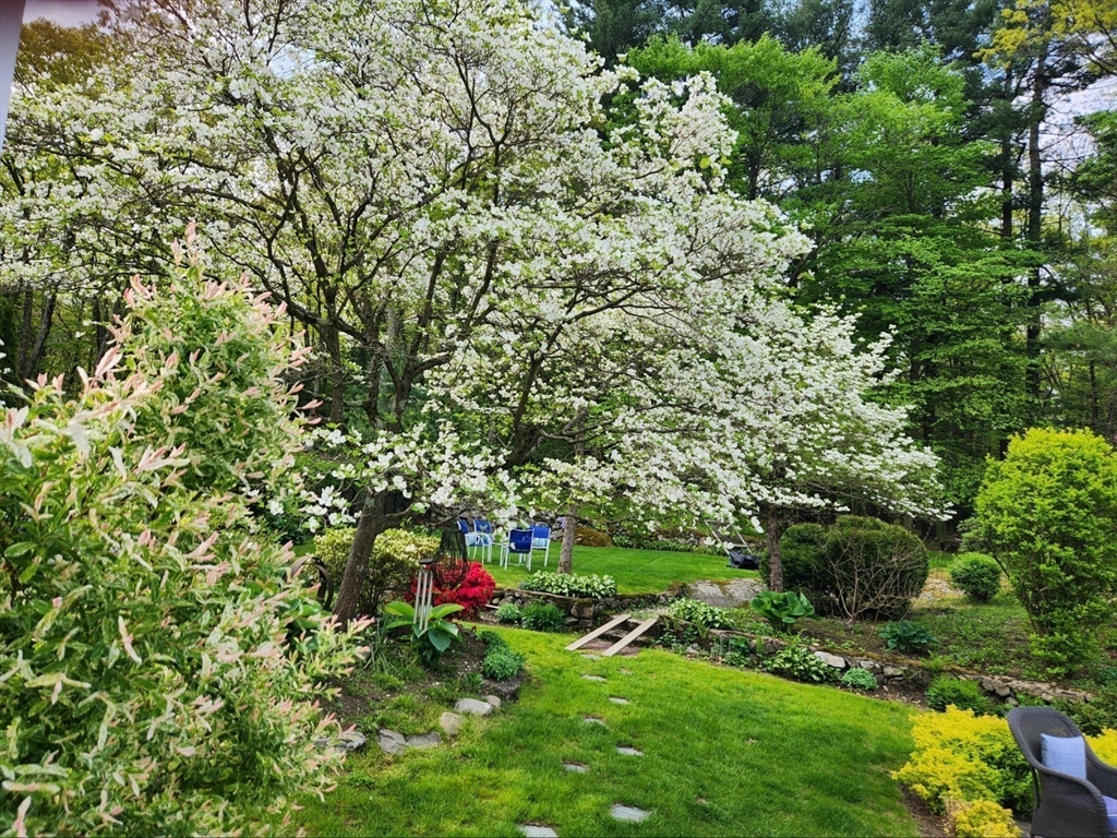 20 Chandler Road Burlington, MA 01803 - Photo 29 of 29 Gallery Image 29