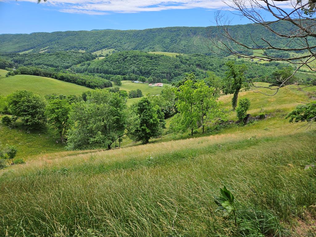 2451 Gratton Road Tazewell, VA 24651 - Photo 45 of 49 Gallery Image 45
