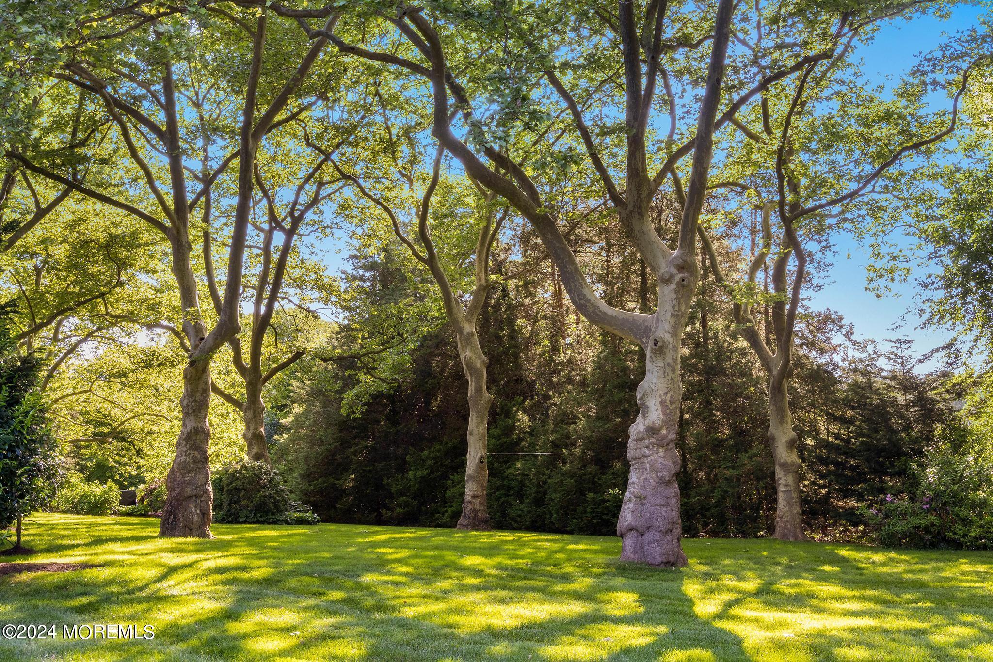 530 Ridge Road Fair Haven, NJ 07704 - Photo 63 of 78 530Ridge-78