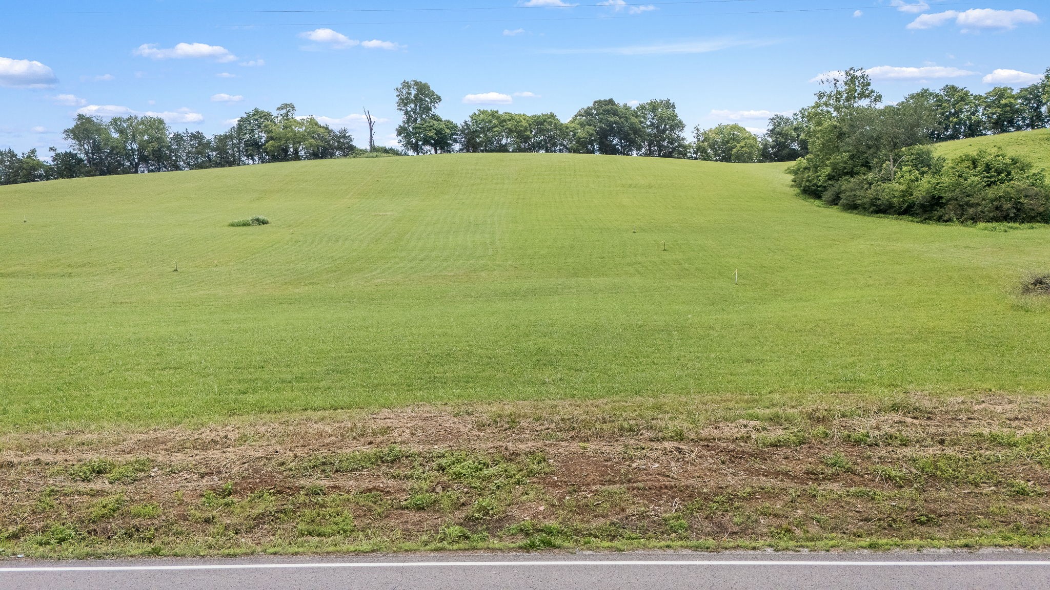 0 Pleasant Hill Road Lynchburg, TN 37352 - Photo 19 of 25
