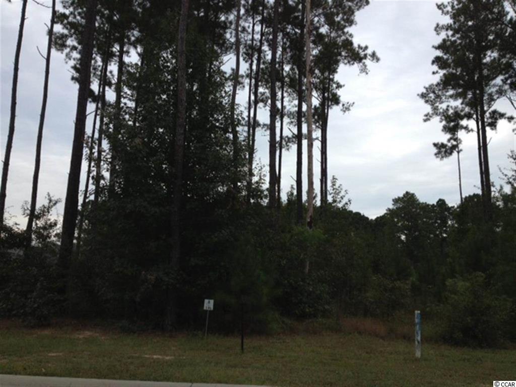 813 Tilly Lake Road Conway, SC 29526 - Photo 1 of 5 Gallery Image 1