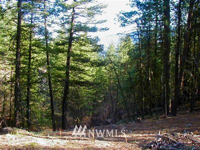 457 Homestead Road Winthrop, WA 98862 - Photo 1 of 1