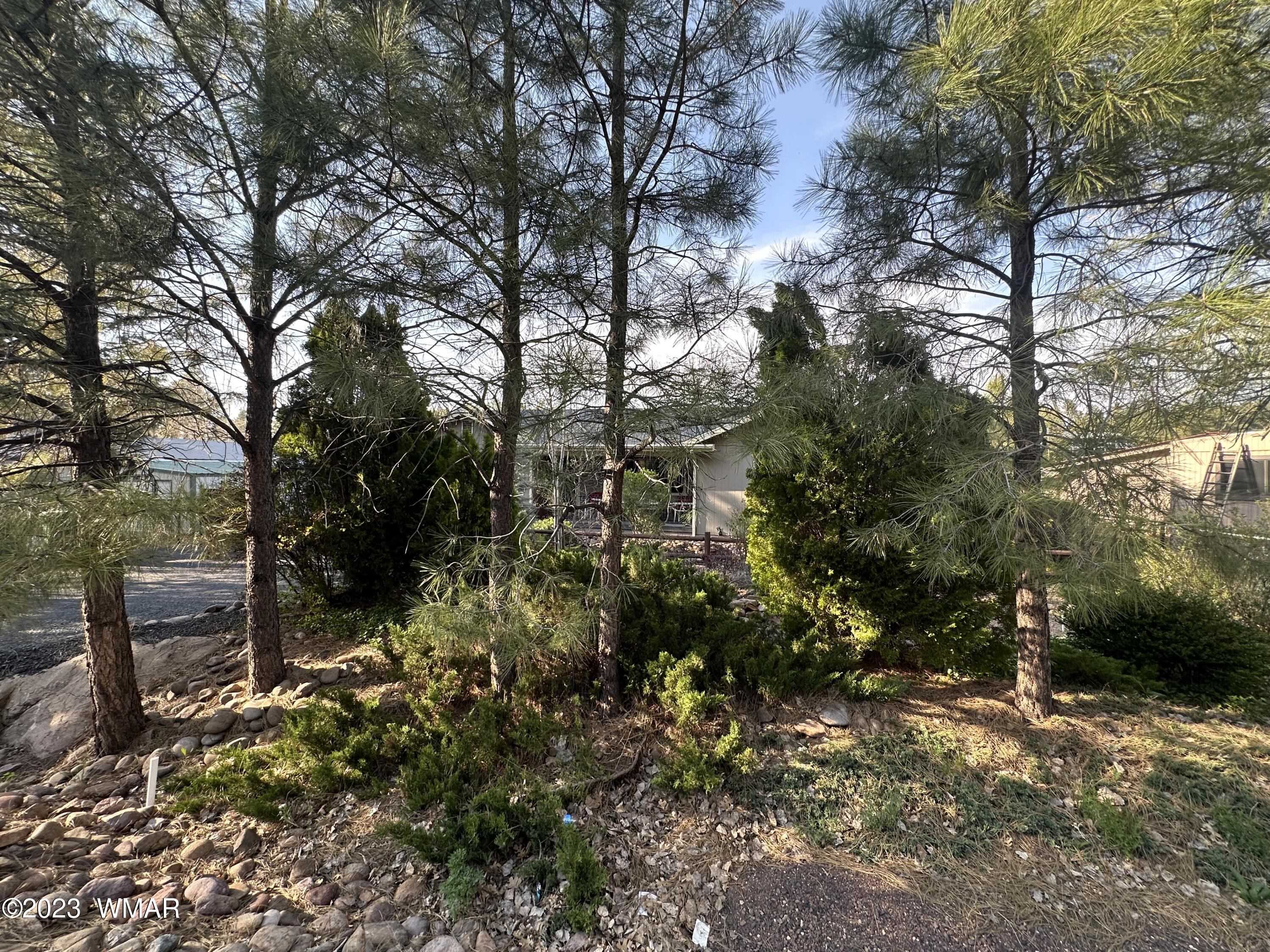 2180 West Park Valley Road Show Low, AZ 85901 - Photo 23 of 30 Gallery Image 23