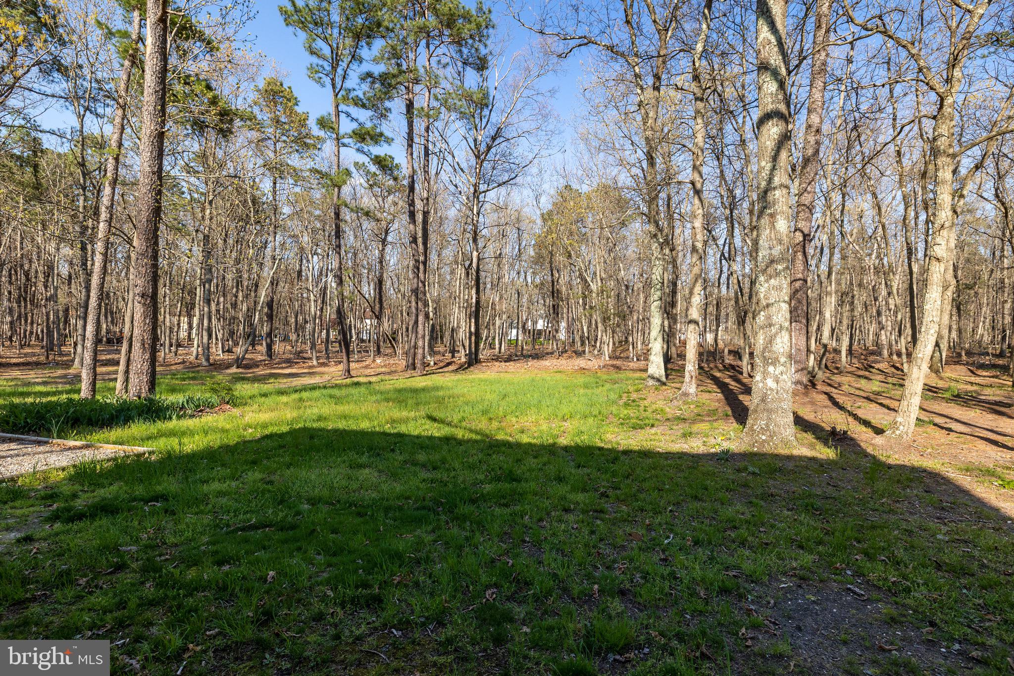 8 North Drive Tabernacle, NJ 08088 - Photo 29 of 29