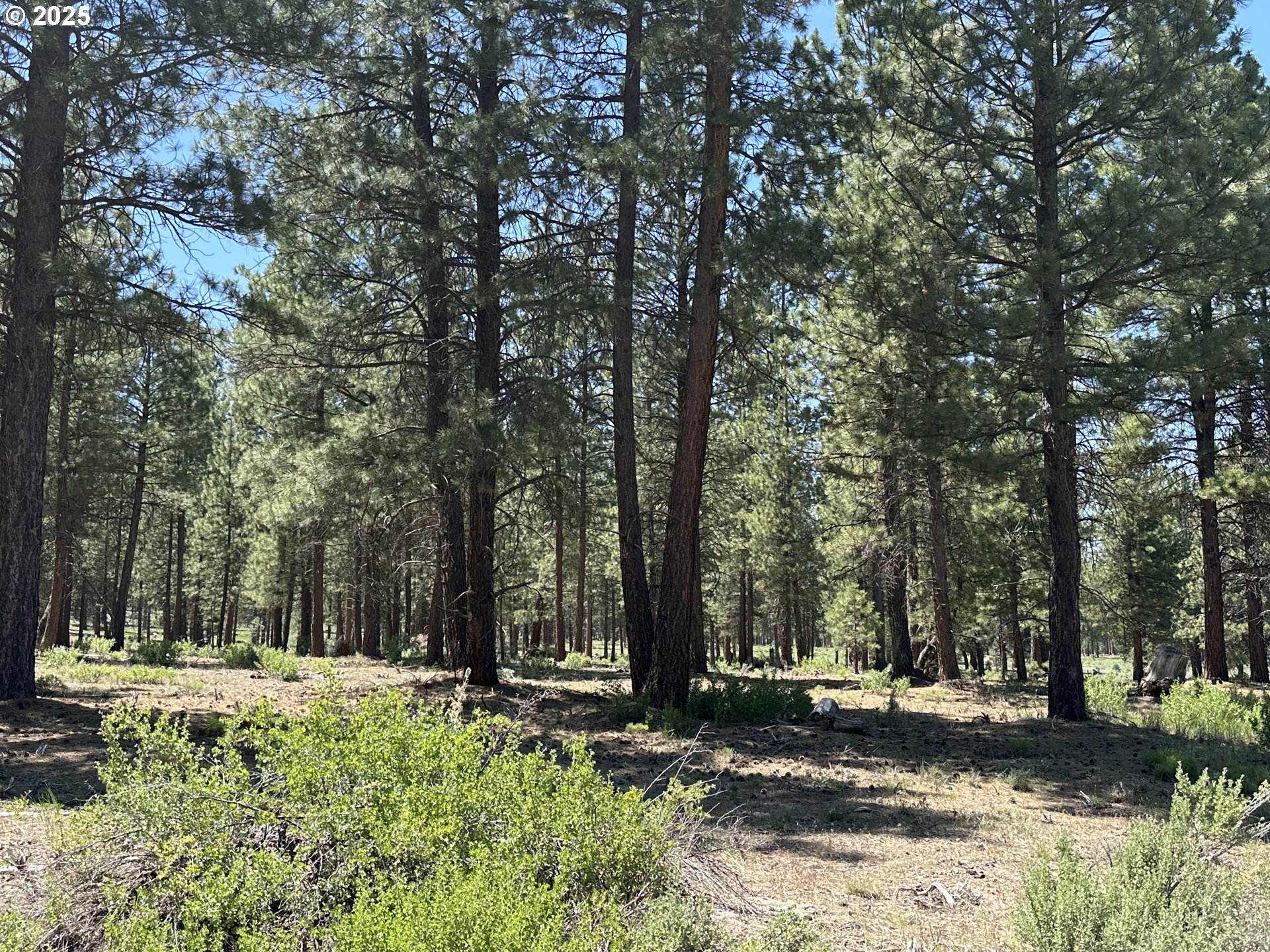 Sprague River Road Chiloquin, OR 97624 - Photo 11 of 26