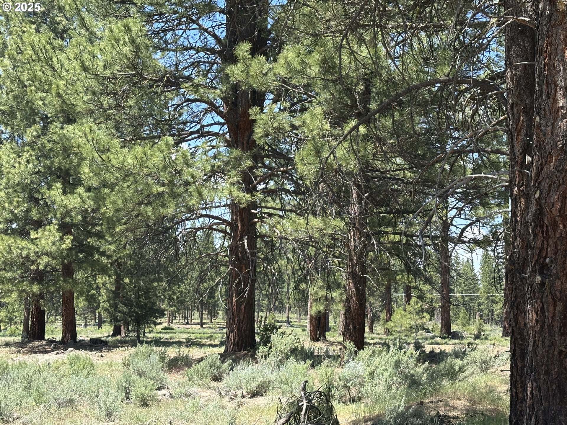 Sprague River Road Chiloquin, OR 97624 - Photo 19 of 26