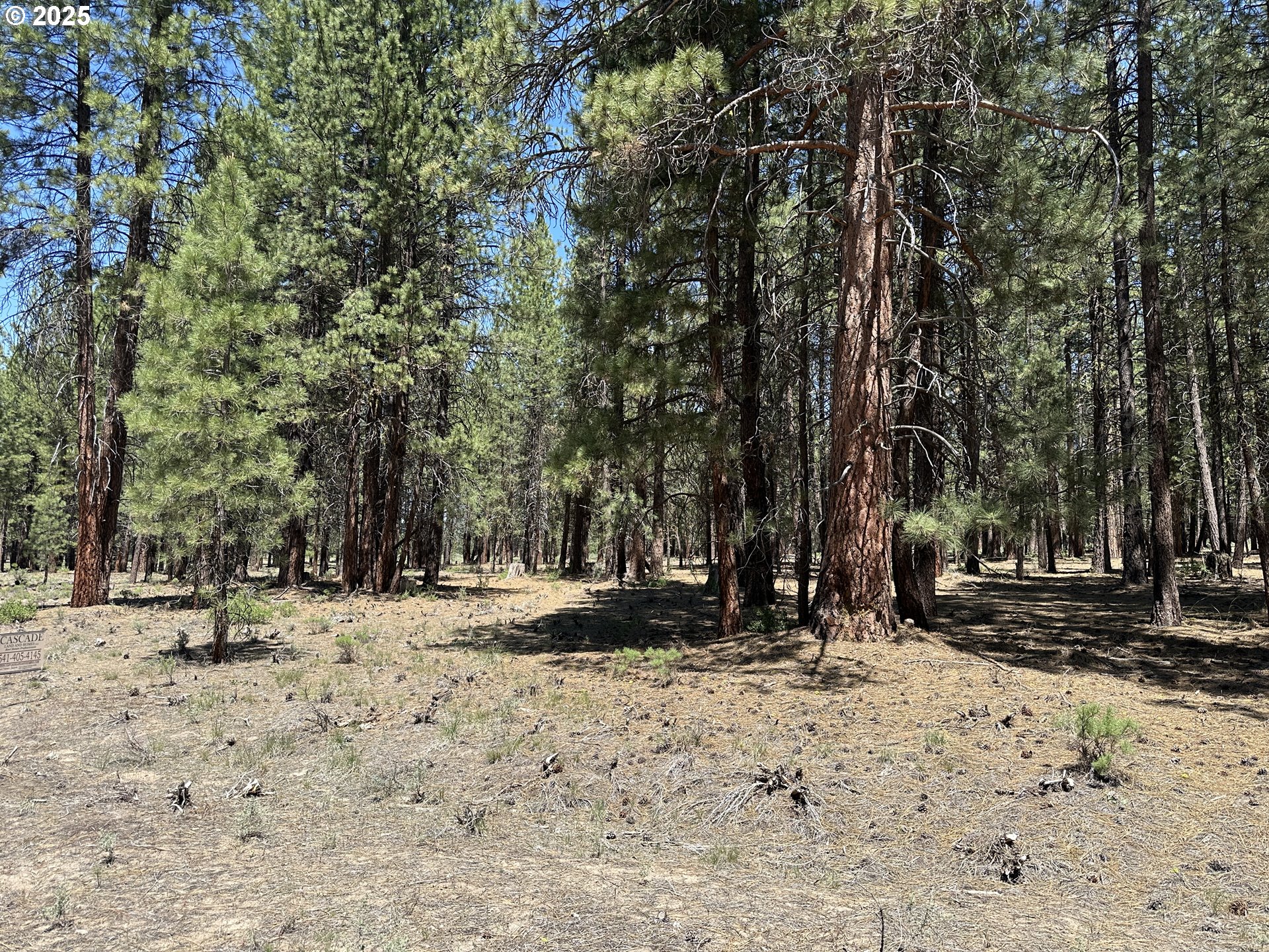 Sprague River Road Chiloquin, OR 97624 - Photo 3 of 26