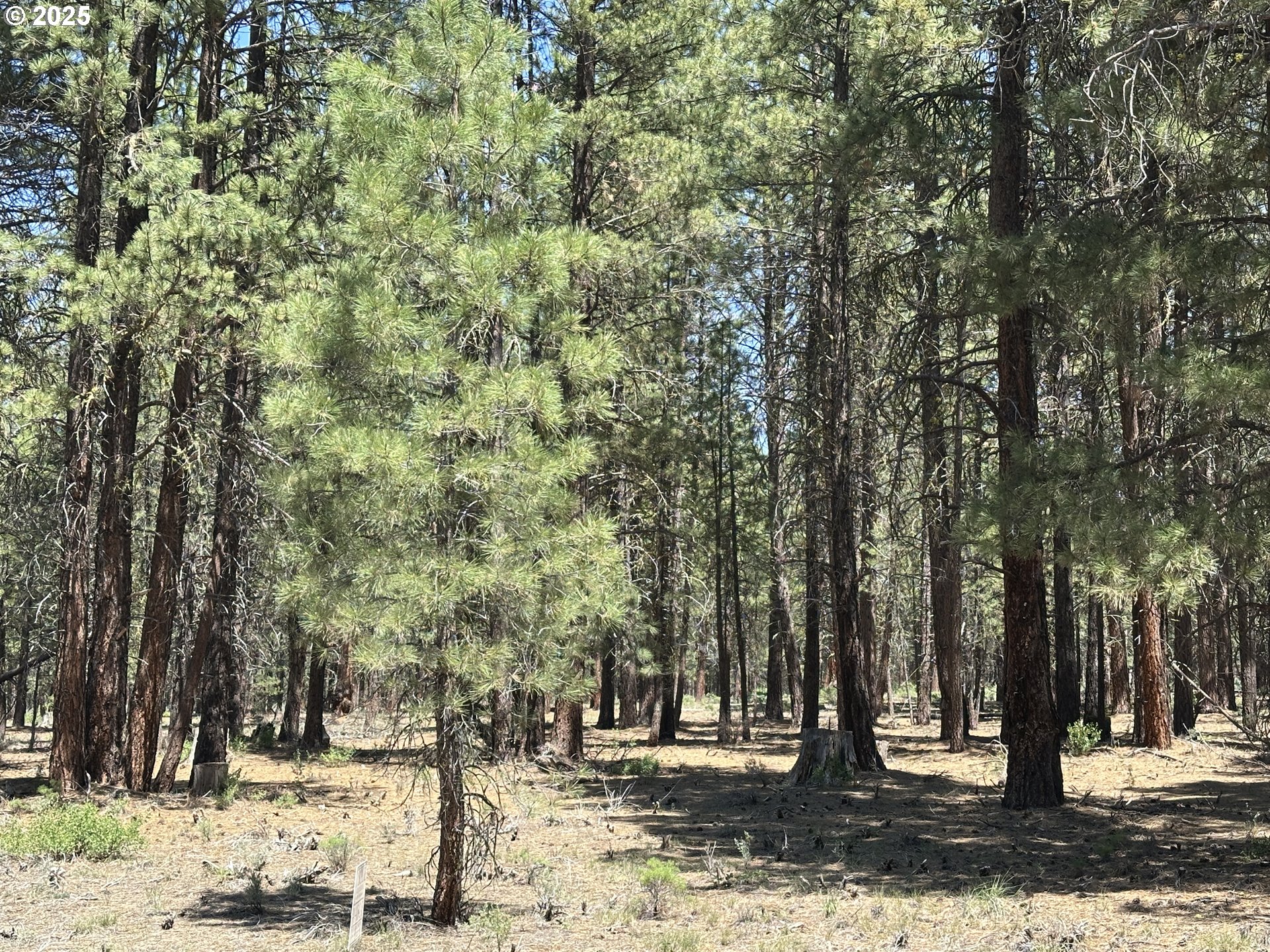 Sprague River Road Chiloquin, OR 97624 - Photo 8 of 26