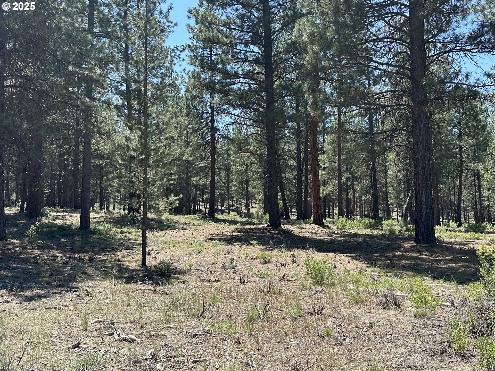 Sprague River Road Chiloquin, OR 97624 - Photo 9 of 26