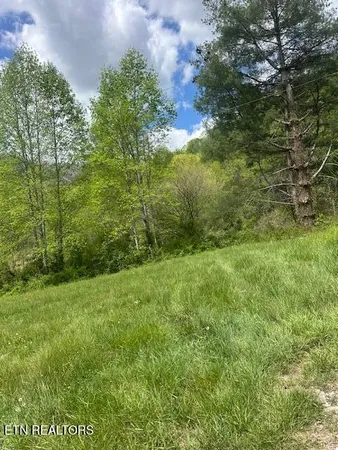 $75,000 | School House Road, Evarts, KY 40828