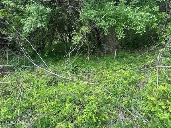 $75,000 | School House Road, Evarts, KY 40828