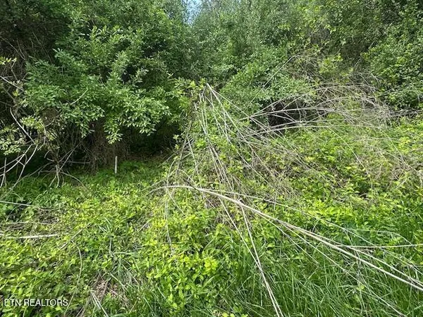 $75,000 | School House Road, Evarts, KY 40828