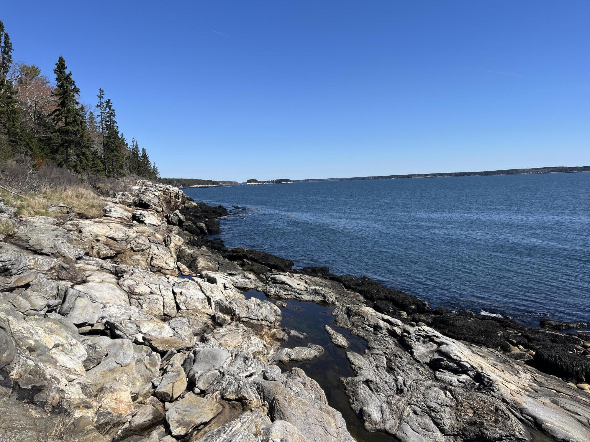 21 White Road Georgetown, ME 04548 - Photo 4 of 98 IMG_2269