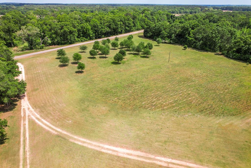 2376 Singletary Road Slocomb, AL 36375 - Photo 59 of 69