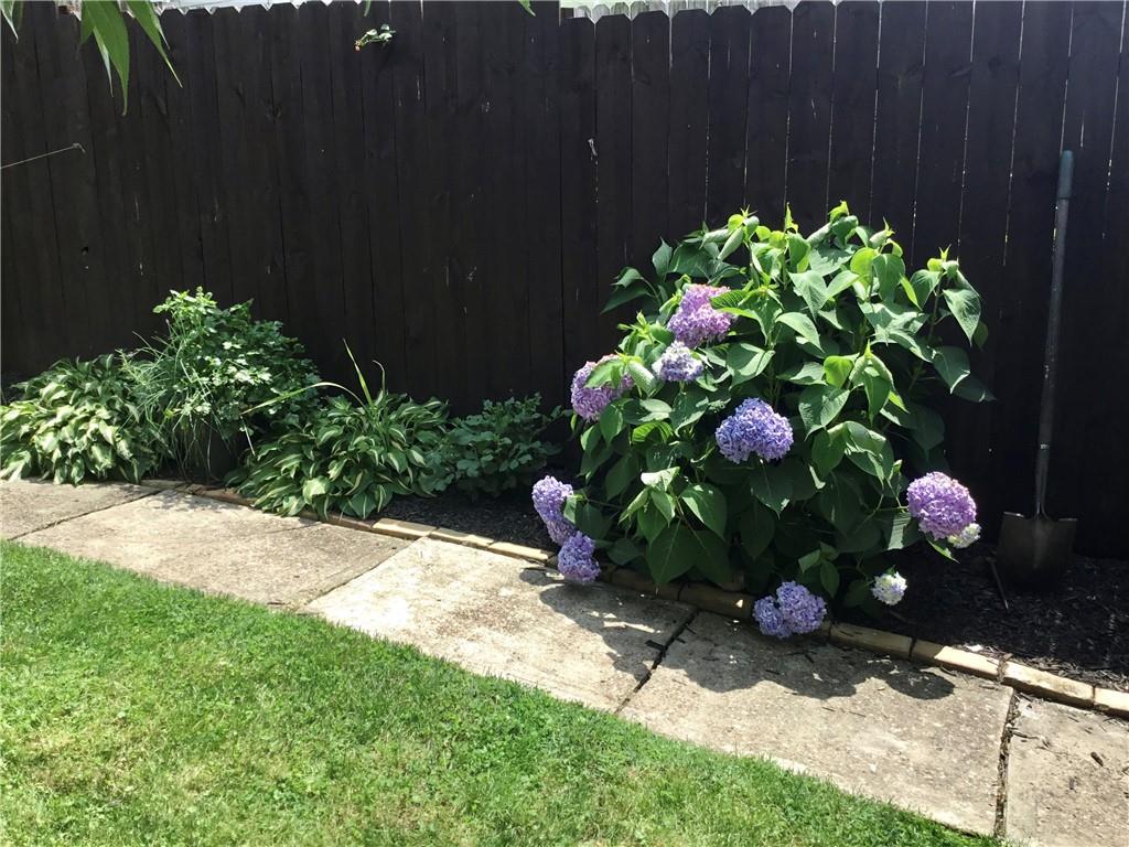 104 Sumner Avenue Vandergrift, PA 15690 - Photo 23 of 26 a bunch of flowers are in a garden