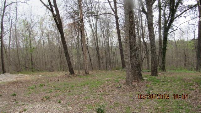 3490 Shouse Road Santa Fe, TN 38482 - Photo 13 of 13 VIEW OF THE 3.37 ACRES WITH SOME WOODS
