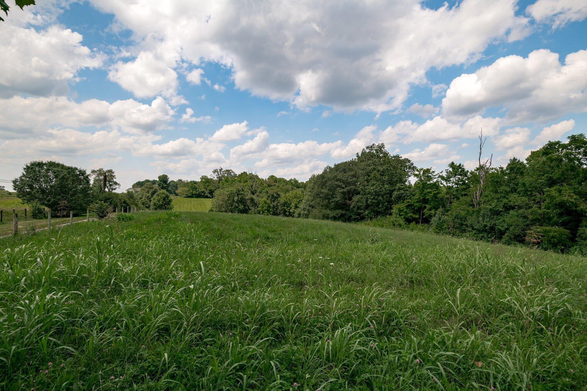 6161 Ashgrove Road Nicholasville, KY 40356 - Photo 5 of 31 032-6161_ashgrove_rd_8_3_21-highrez.jpg-