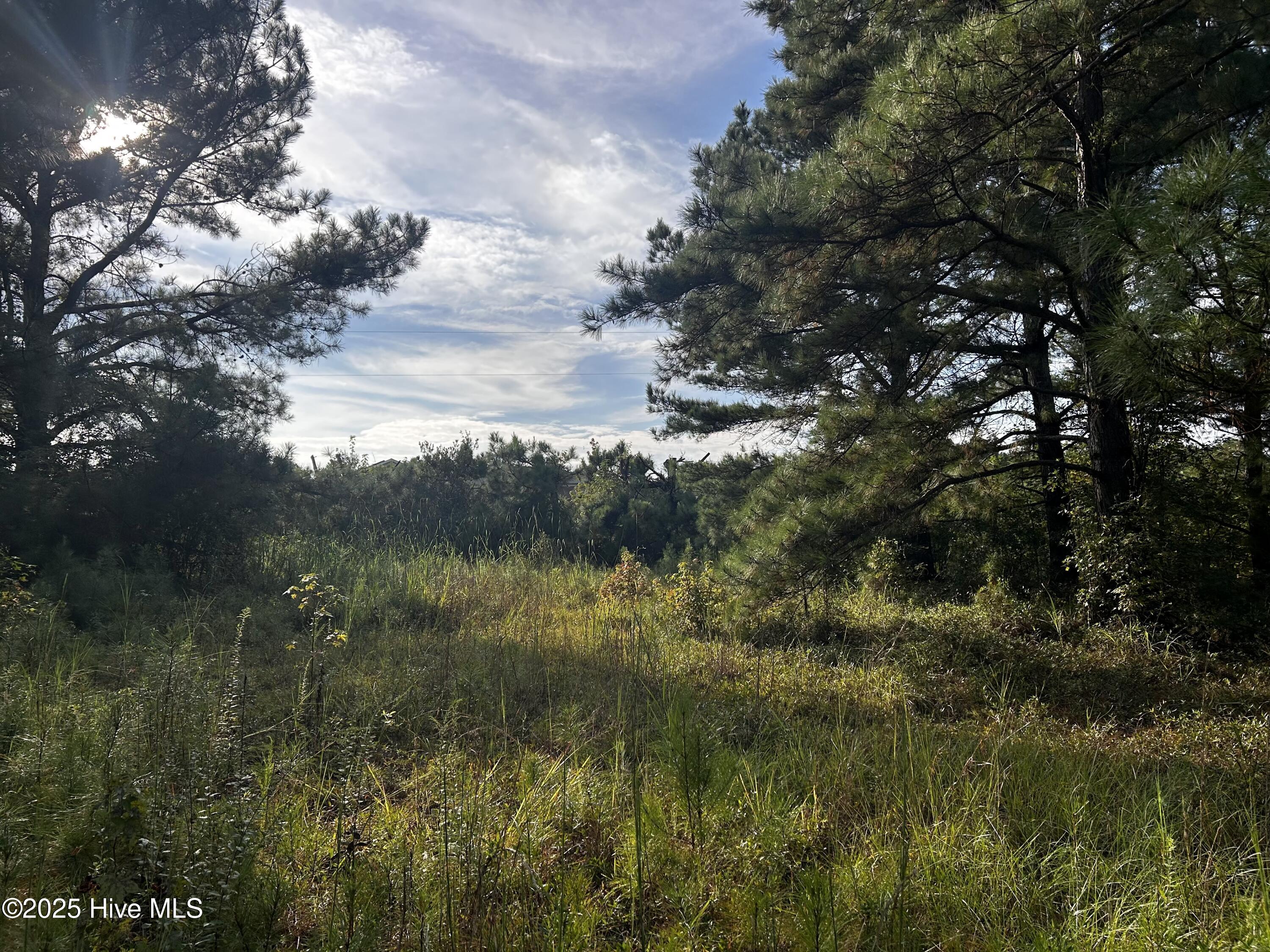 Lot #11 Upland Road Willard, NC 28478 - Photo 11 of 15 Lot #11 Upland Road