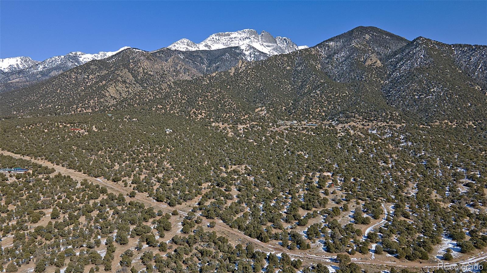 a view of a large tree