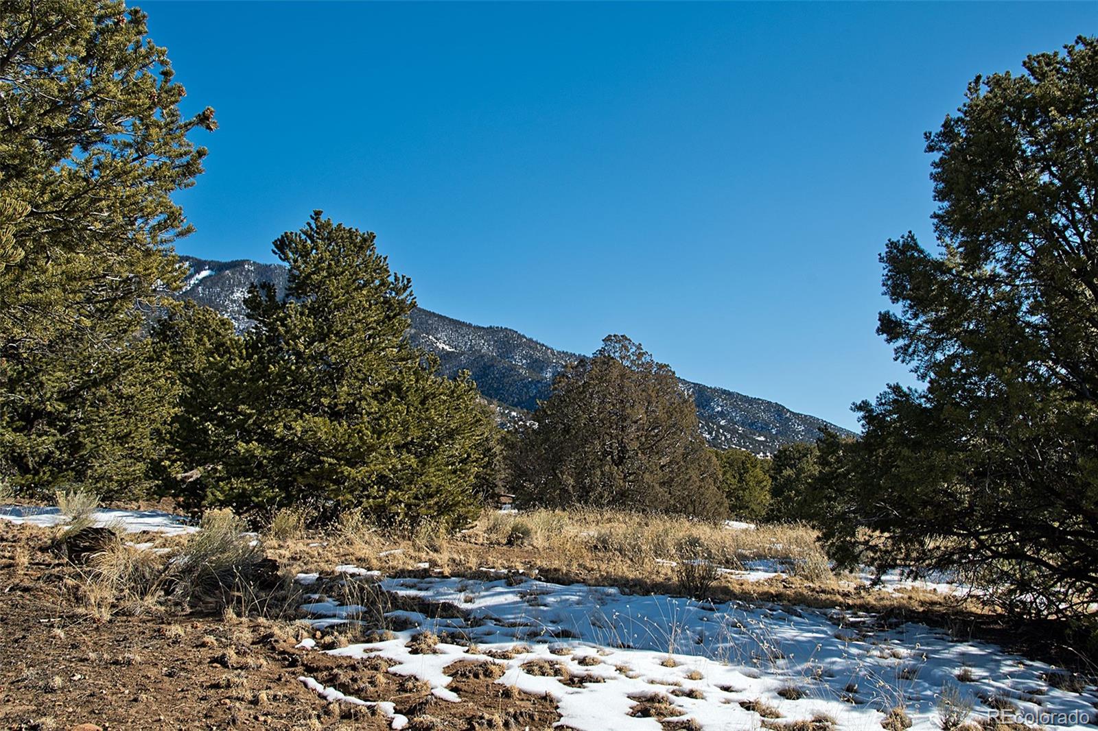 Naropa Tract Crestone, CO 81131 - Photo 11 of 22 a view of a backyard of the house
