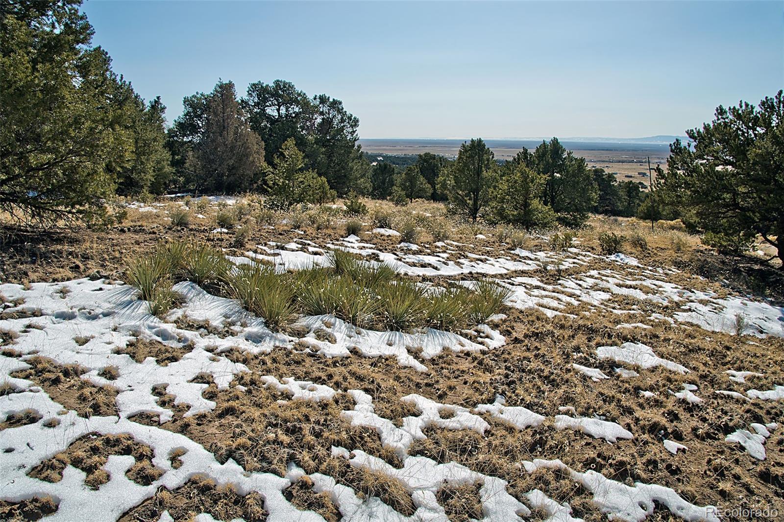 Naropa Tract Crestone, CO 81131 - Photo 12 of 22 a view of a field with trees in the background
