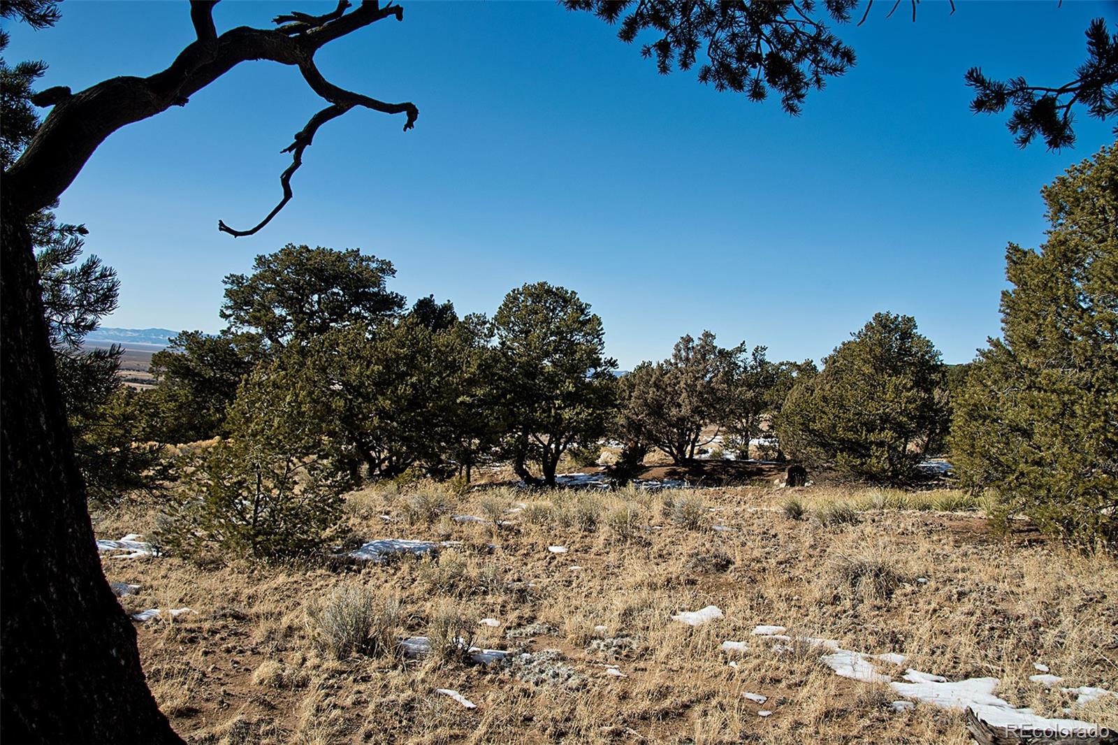 Naropa Tract Crestone, CO 81131 - Photo 14 of 22 a view of snow on the road