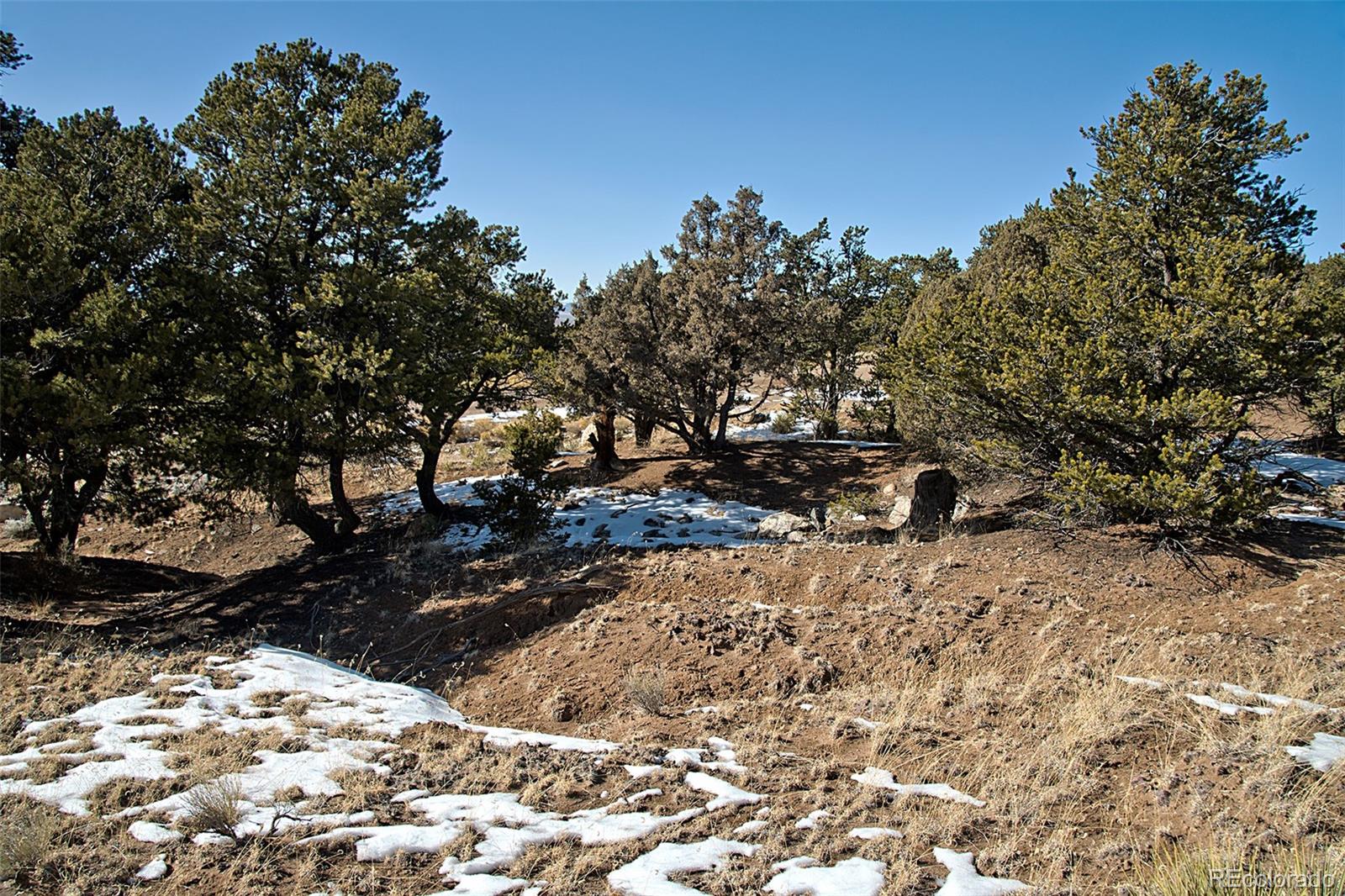 Naropa Tract Crestone, CO 81131 - Photo 16 of 22 a view of a yard covered with snow