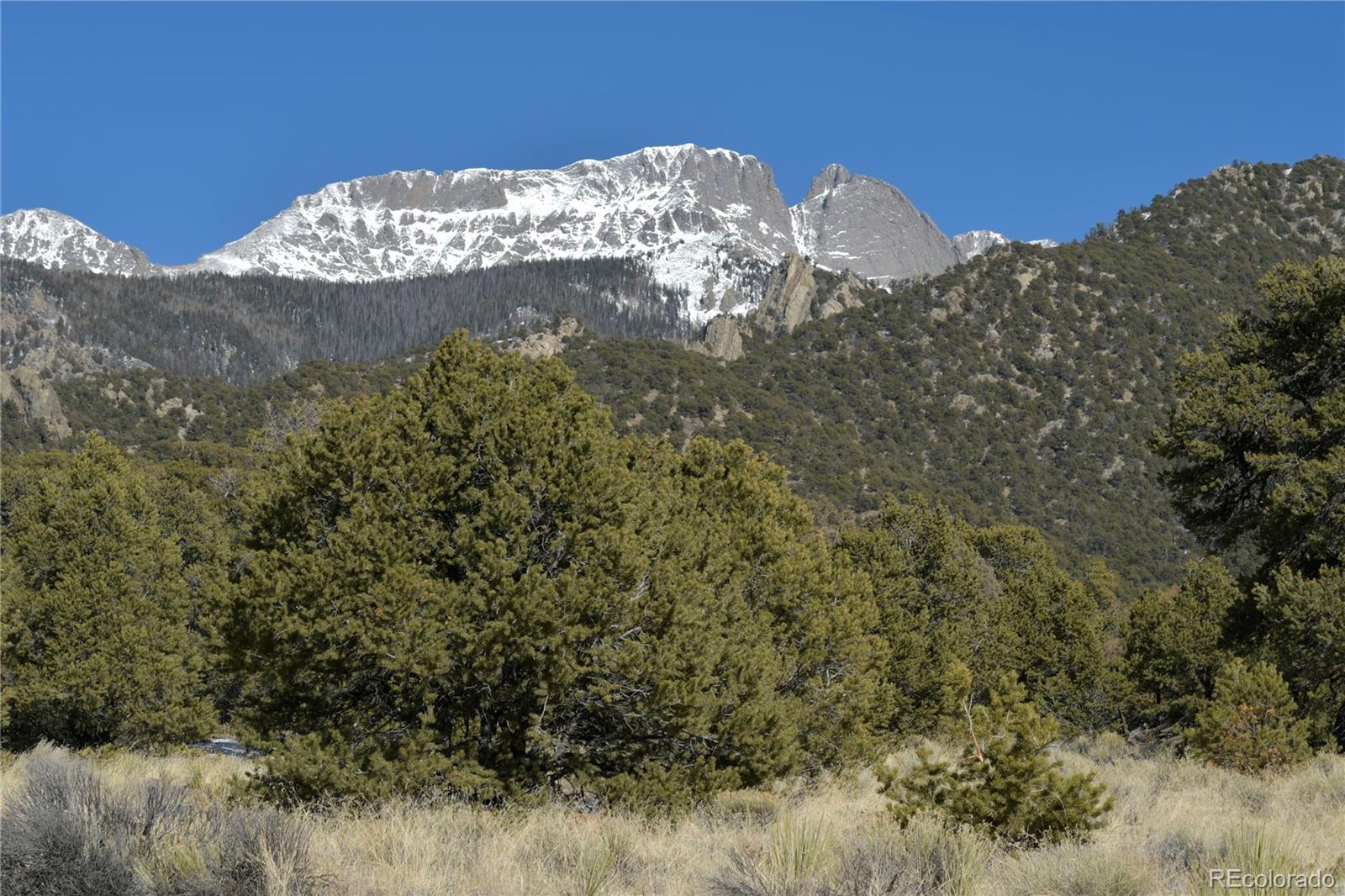 Naropa Tract Crestone, CO 81131 - Photo 9 of 22 a view of a dry yard with large trees