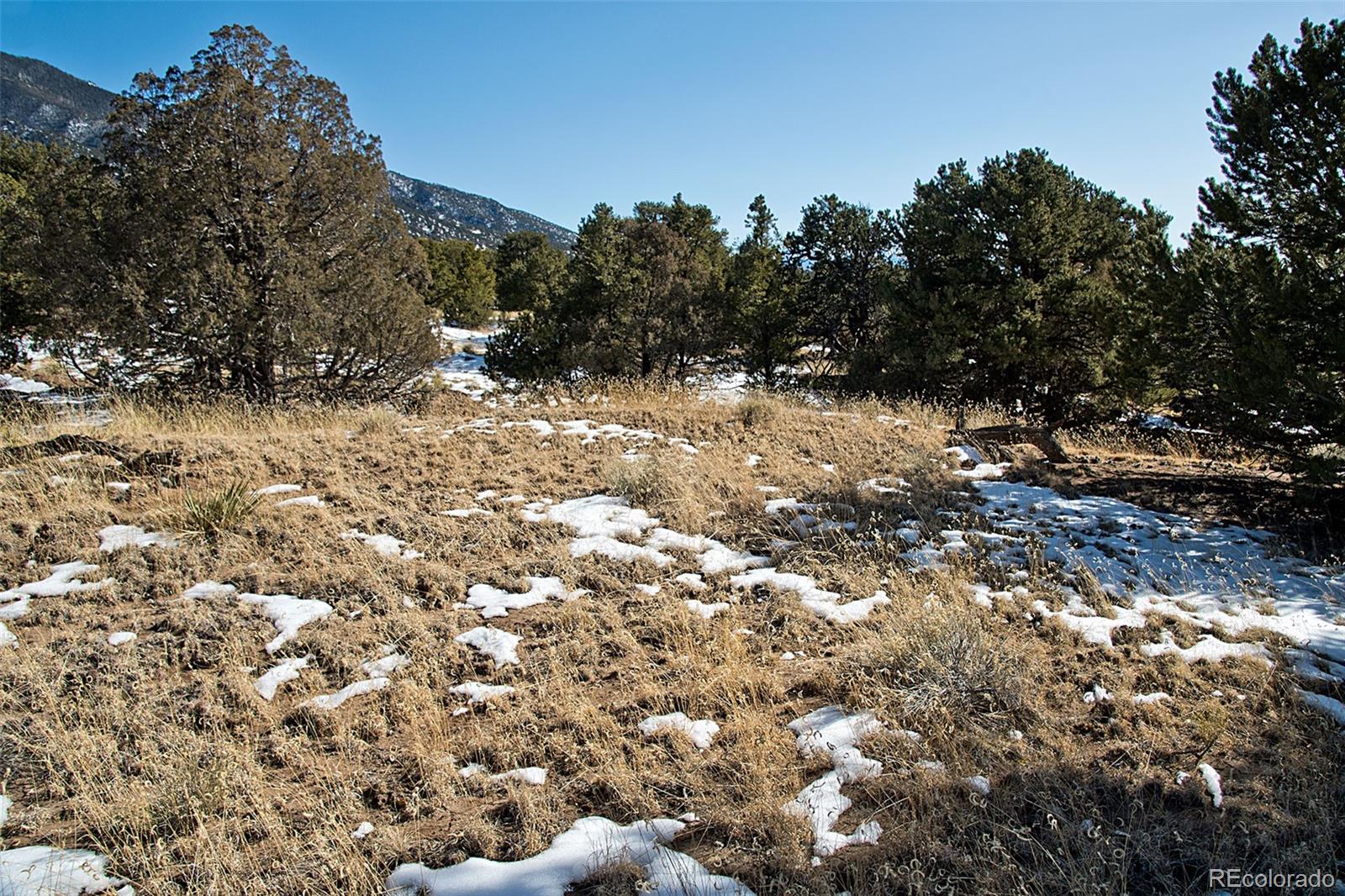 Naropa Tract Crestone, CO 81131 - Photo 10 of 22 a view of a yard with a tree