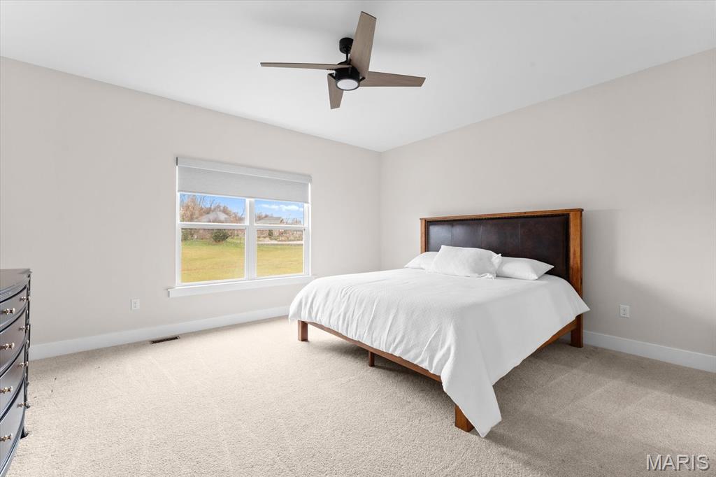 621 Tea Olive Boulevard O'Fallon, IL 62269 - Photo 18 of 47